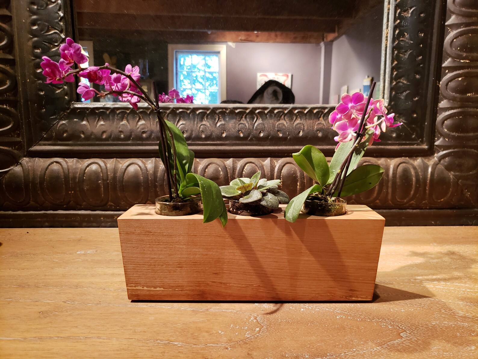 Plantador de borde vivo de madera / soporte de votivo | Etsy