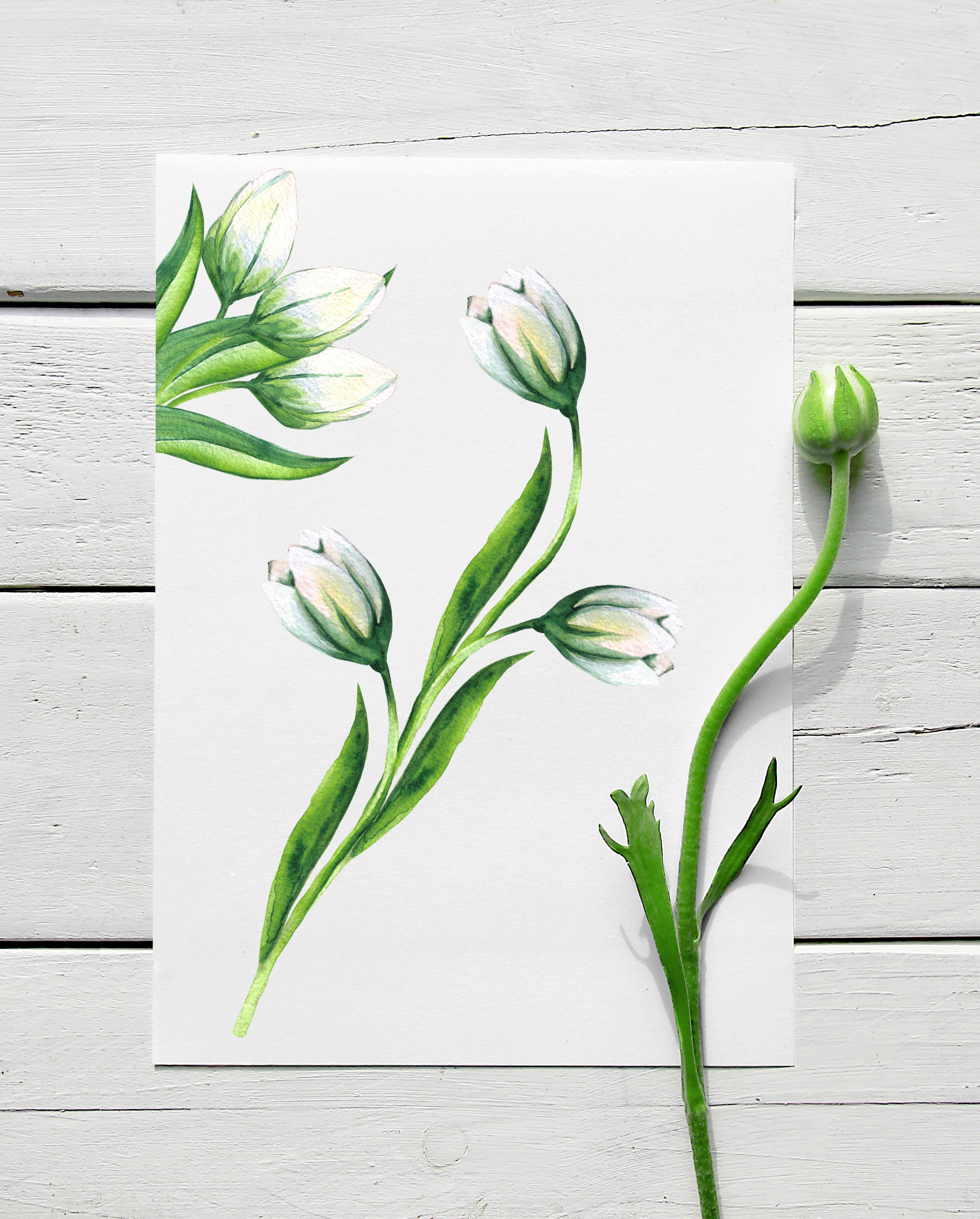 Watercolor White Flowers Clipart. Floral Clipart. Wedding | Etsy