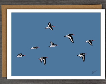 Oystercatchers - Birds - blank greetings card - birthday card