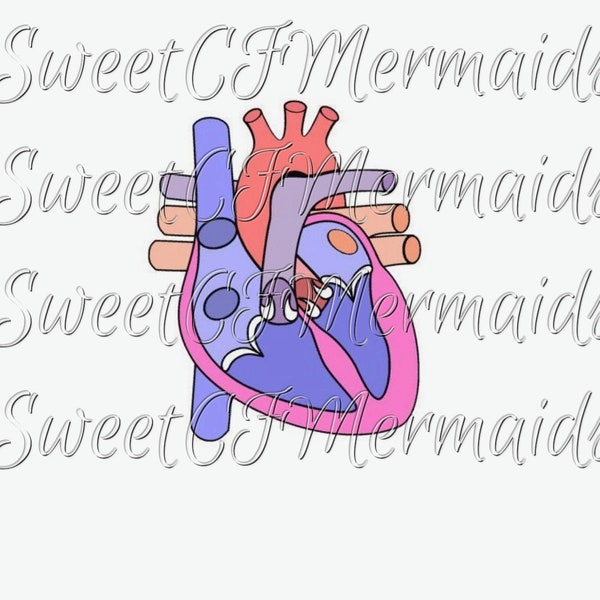 Anatomy heart II SVG file, Cricut file, silhouette file, machine cutting file