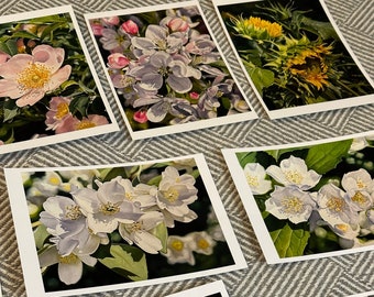 Greeting card pack of 10, Greeting Cards Set, Floral Art Cards Multipack, Botanical Greeting Cards, Any Ocasion