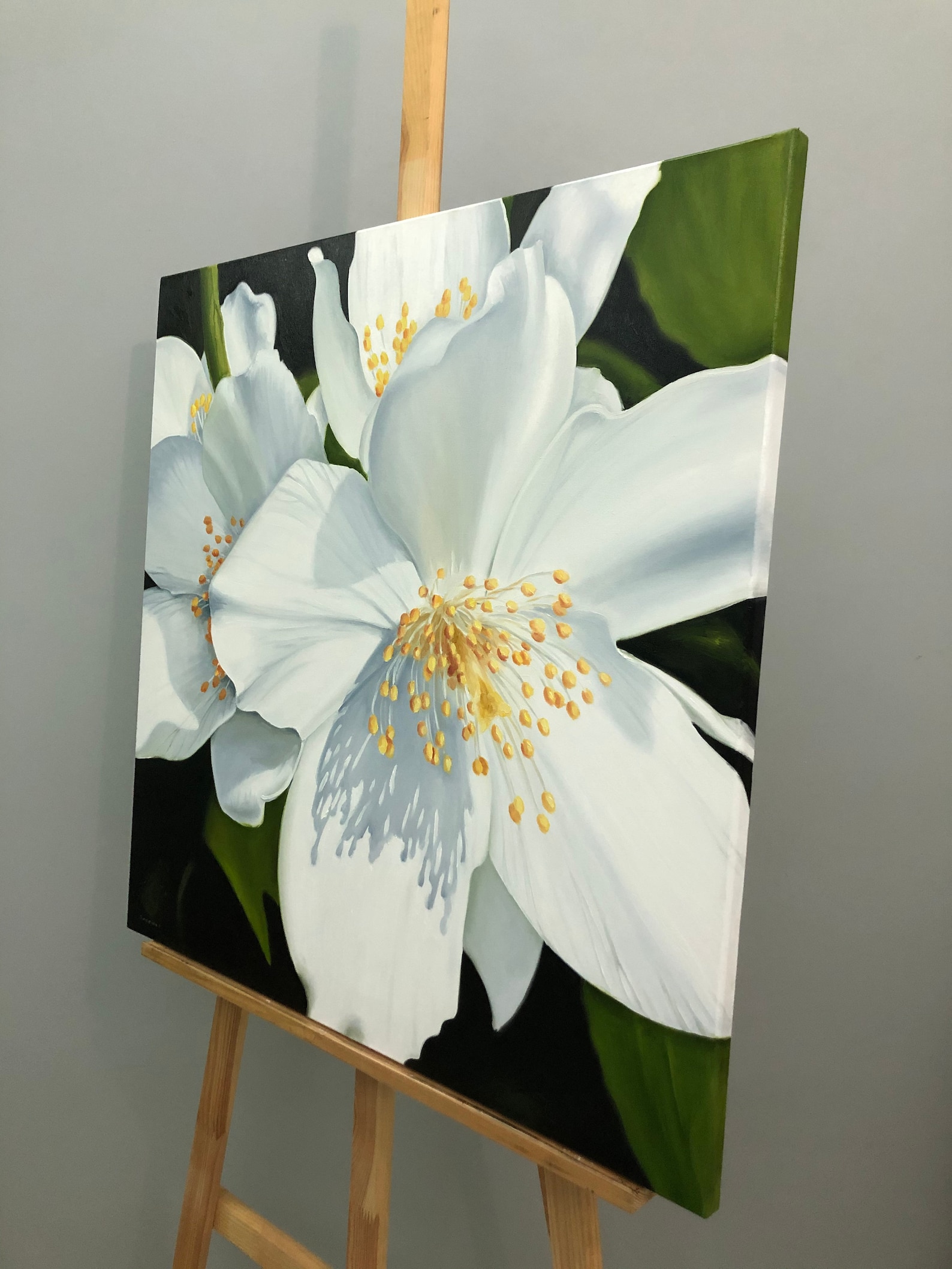 Jasmine Flower Painting Blooming Jasmine Original Oil Etsy
