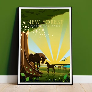 New Forest Nationalpark Druck