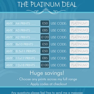 May include: A blue and white graphic with the text "THE PLATINUM DEAL" at the top. The graphic lists different print sizes and prices, along with discount codes for each size. The text "Huge savings!" is at the bottom of the graphic, along with instructions to choose prints and apply codes at checkout.
