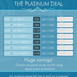 May include: A blue and white graphic with the text "THE PLATINUM DEAL" at the top. The graphic lists different print sizes and prices, along with discount codes for each size. The text "Huge savings!" is at the bottom of the graphic, along with the text "Choose any prints across my full range" and "Apply codes at checkout". The text "Any questions please feel free to send me a message" is at the bottom of the graphic.