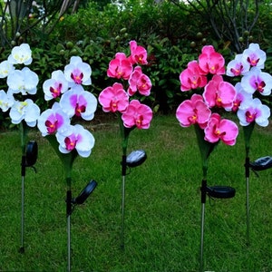 Solar Garden Decoration ORCHID Flower with 5 Head decor Outdoor image 1