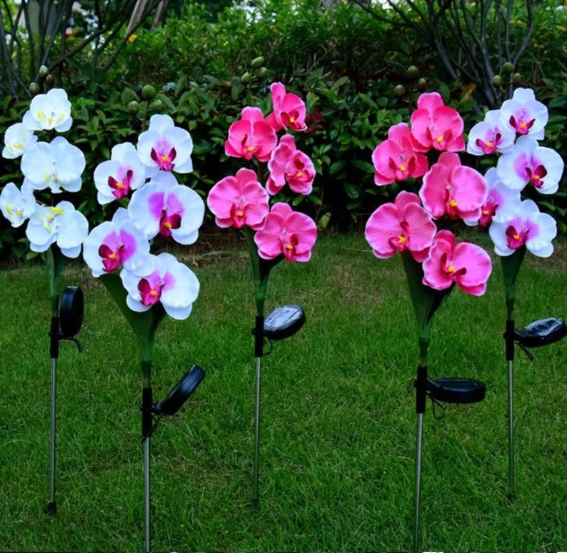 Solar Garden Decoration ORCHID Flower with 5 Head decor Outdoor image 1