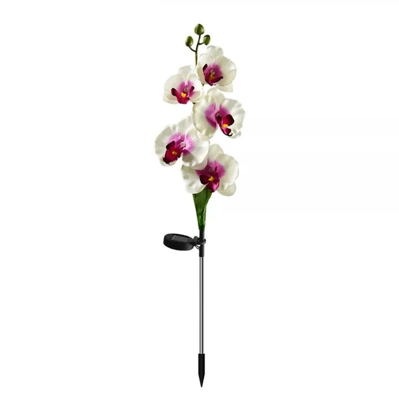 Solar Garden Decoration ORCHID Flower with 5 Head decor Outdoor image 5