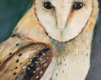Barn Owl