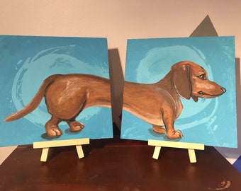 Dachshund