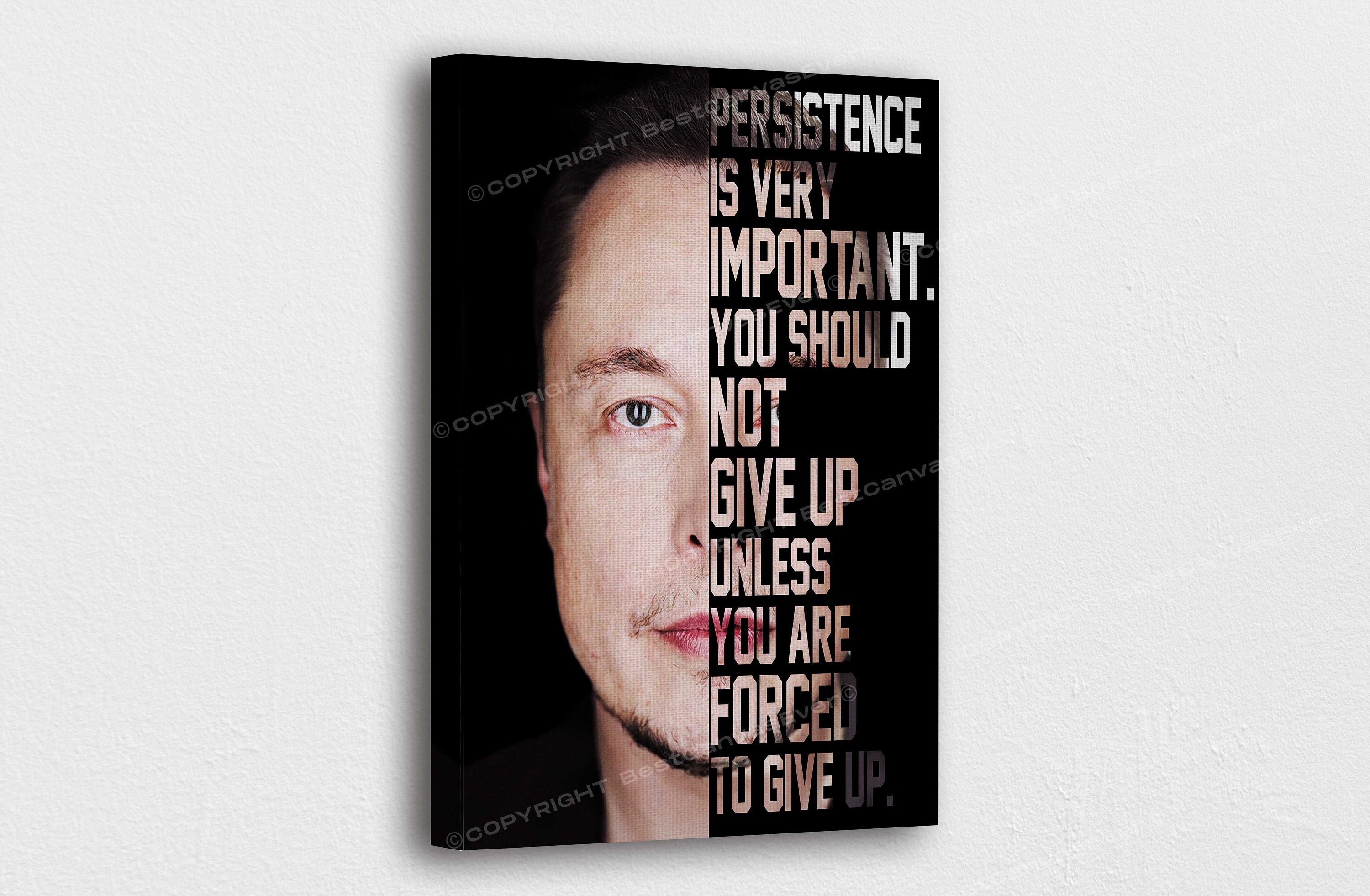 Elon Musk Art Canvas Elon Musk Motivational Quotes Art | Etsy New Zealand