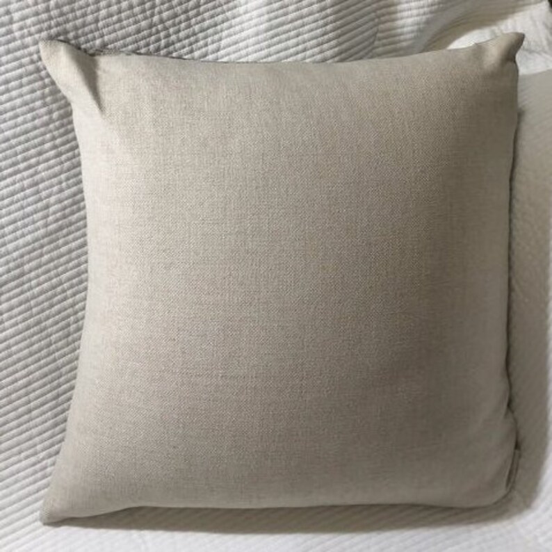 Hundred Dollar Bill Couch Cushion Pillow Etsy