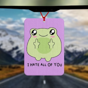Netter lustiger Frosch Lufterfrischer - Autozubehör - Autozubehör - Geschenk für Frosch-Liebhaber - Geschenk für Sie - Geschenk für Freund - Hass jeder