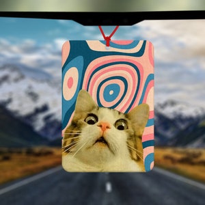 Shocked Cat Meme Air Freshener - Car Air Freshener - Car Accessories - Funny meme - Gift for him - Gift for her - Gifts under 10