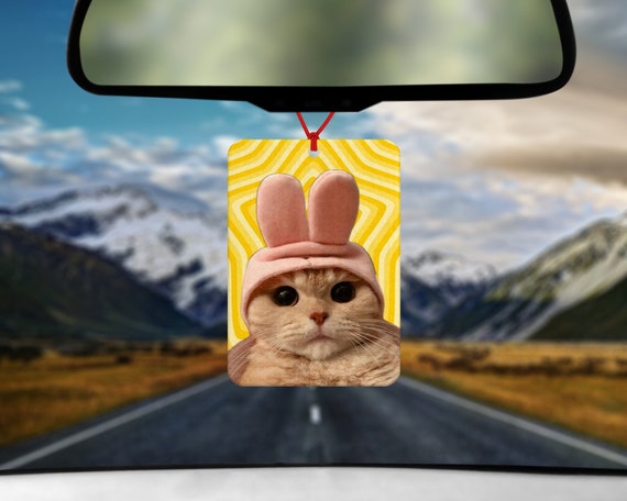 Süße Katze Meme Lufterfrischer Auto Lufterfrischer Autozubehör Lustiges  Meme Geschenk für ihn Geschenk für sie Geschenke unter 10 Katzenliebhaber -  .de