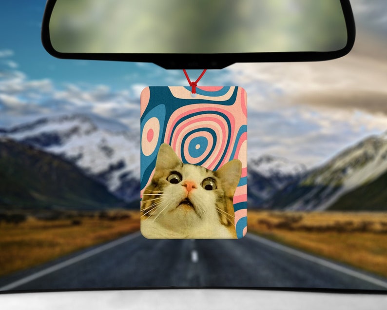 Shocked Cat Meme Air Freshener Car Air Freshener Car Accessories Funny meme Gift for him Gift for her Gifts under 10 image 1
