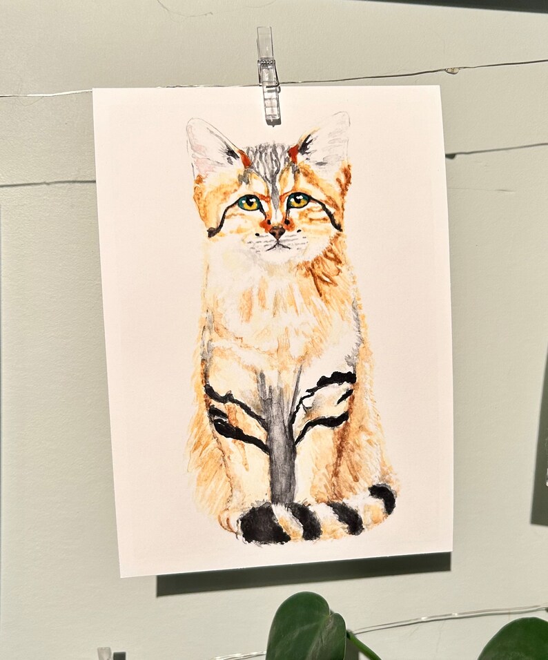 Sand Cat Original Watercolor Art Print - Etsy
