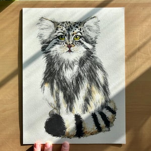 Pallas Cat Manul Original Watercolor Art Print