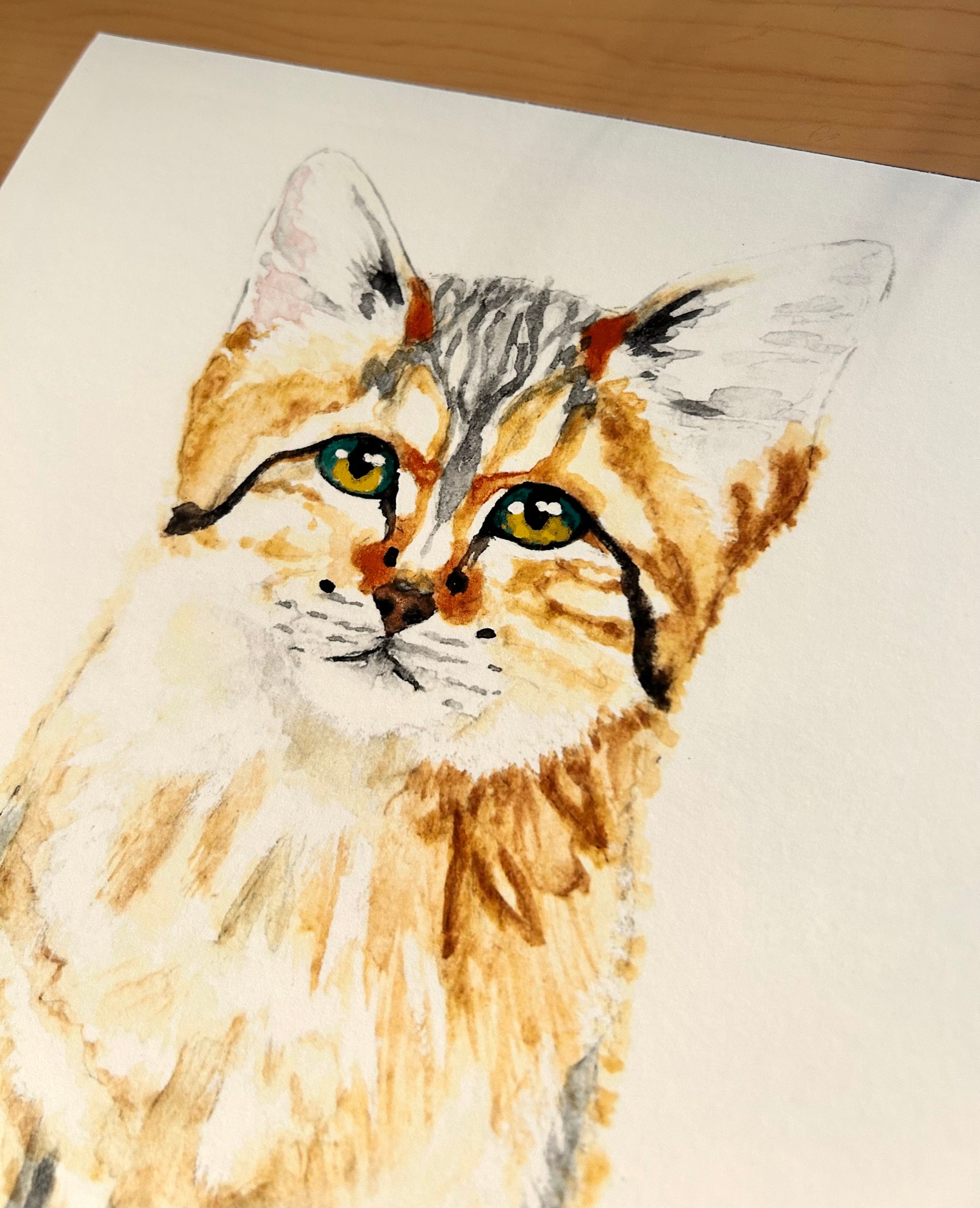Sand Cat Original Watercolor Art Print - Etsy