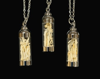 Glass Vial of Rodent Bones 18 Inch Stainless Steel Real Animal Bone Oddity Necklace