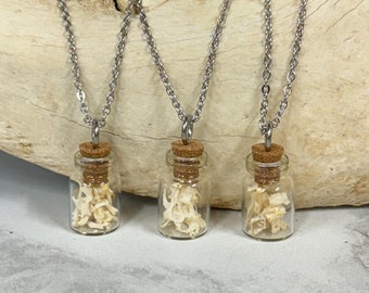 Glass Vial of Mouse Bones 18&quot; Stainless Steel Necklace