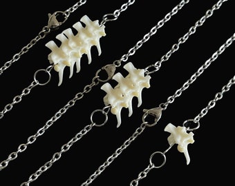 Boa Constrictor Vertebrae Bones 18" Necklace | One, Three, & Five Vertebrae Options