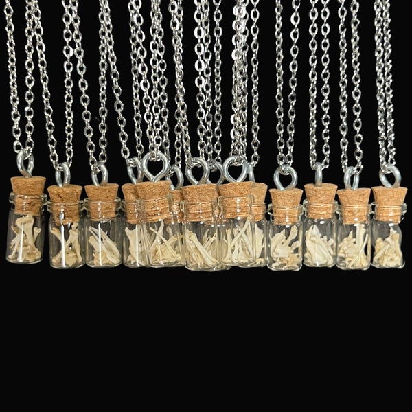 Glass Vial of Mouse Bones 18" Stainless Steel Necklace