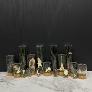 May include: A collection of various animal bones, skulls, and fur specimens displayed inside clear glass cylinders and small domes with cork bases. Each glass container features green moss at the bottom, housing natural skeletal remains.