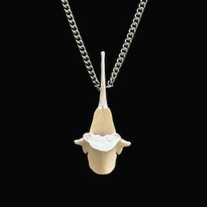 Deer Vertebra Bone 18&quot; Stainless Steel Oddity Necklace, Real Animal Bone Jewelry