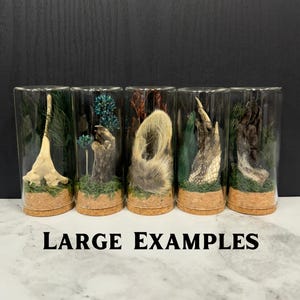 May include: Five cylindrical glass display jars with cork bases, each containing preserved animal specimens like bones, fur, and claws arranged on green moss with dried foliage. The text LARGE EXAMPLES is printed in black below the jars.