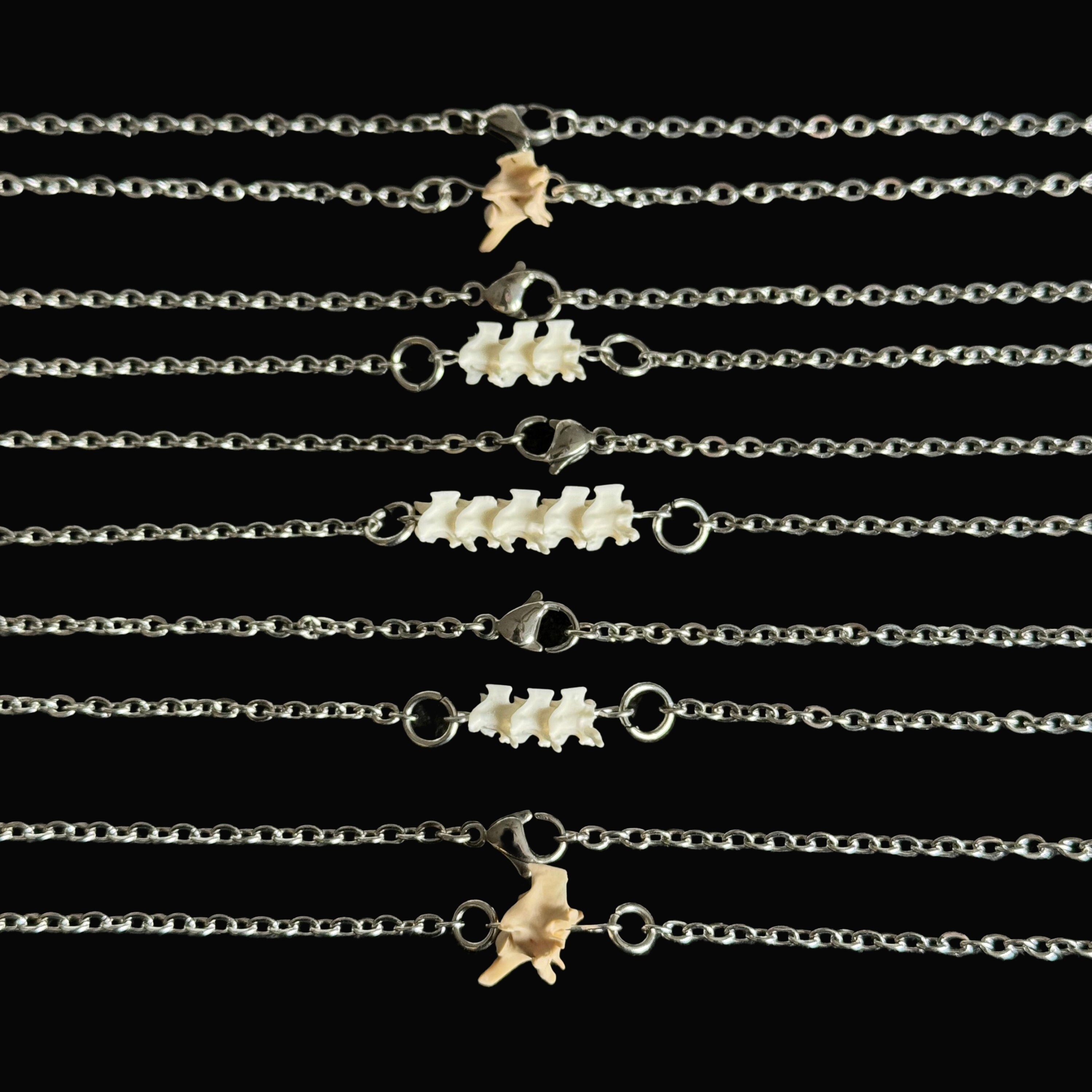 Rattlesnake Vertebrae Bones 18" Necklace | One, Three, & Five Vertebrae Options