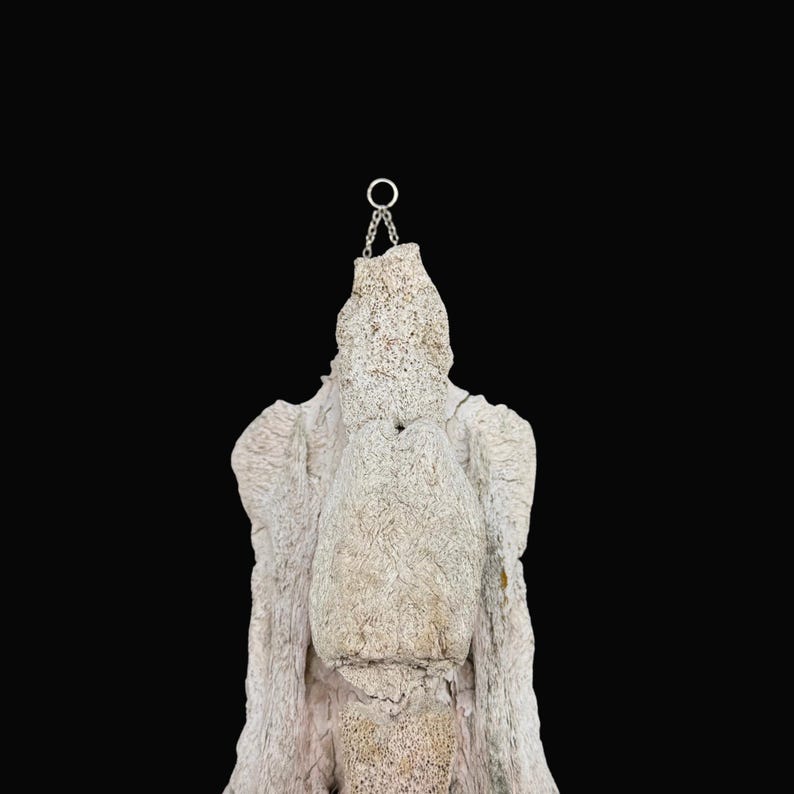 May include: A textured, off-white sculpture with a chain and ring at the top, set against a black background. The sculpture has a rough, organic appearance, with visible ridges and a layered texture. The chain and ring suggest it may be designed for hanging.