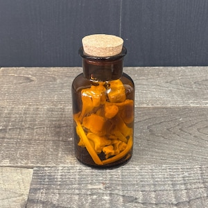 May include: A small, cylindrical amber glass apothecary bottle with a cork stopper, filled with bright orange, irregularly shaped dried mushroom pieces visible through the translucent brown glass walls of the container.