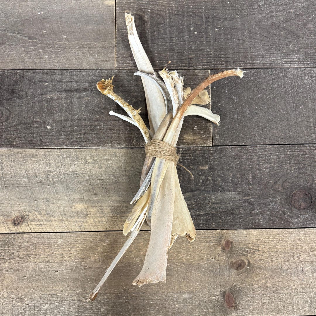 Bundle of Real Imperfect Animal Rib Bones - Etsy