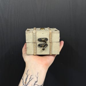 Small Mystery Oddity Box 8 Piece Animal Parts & Bones, Vulture Culture Oddities and Curiosities