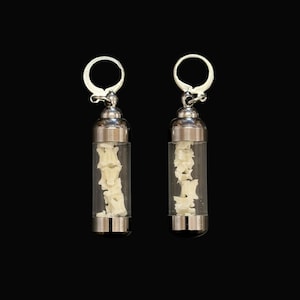 May include: A pair of unique earrings featuring a small, white spine encased in a clear, cylindrical glass vial. The vials are capped with silver-colored metal and attached to silver-colored ear wires. The background is solid black.