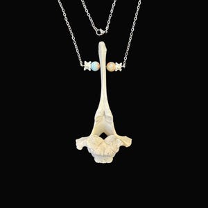May include: A unique necklace featuring a cream-colored bone pendant suspended from a silver chain. The pendant is accented with two small, colorful beads. The necklace is set against a black background, highlighting its intricate design.