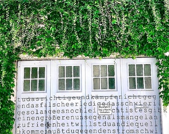 Digitaldruck Wandkunst Bonn City | Hinterhof Bonn Germany | Zitat des Tages | Garage | Natur in der Stadt
