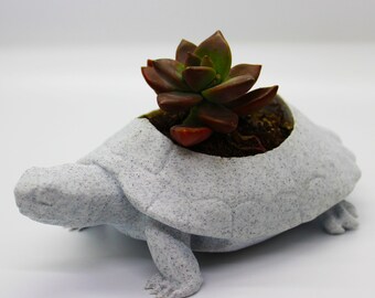 Maceta para suculentas con forma de tortuga: mirto, PLA reciclado impreso en 3D