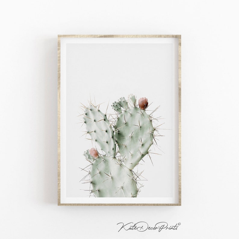 Cactus Wall Art Plant Print Cactus Art Desert Decor Boho Etsy