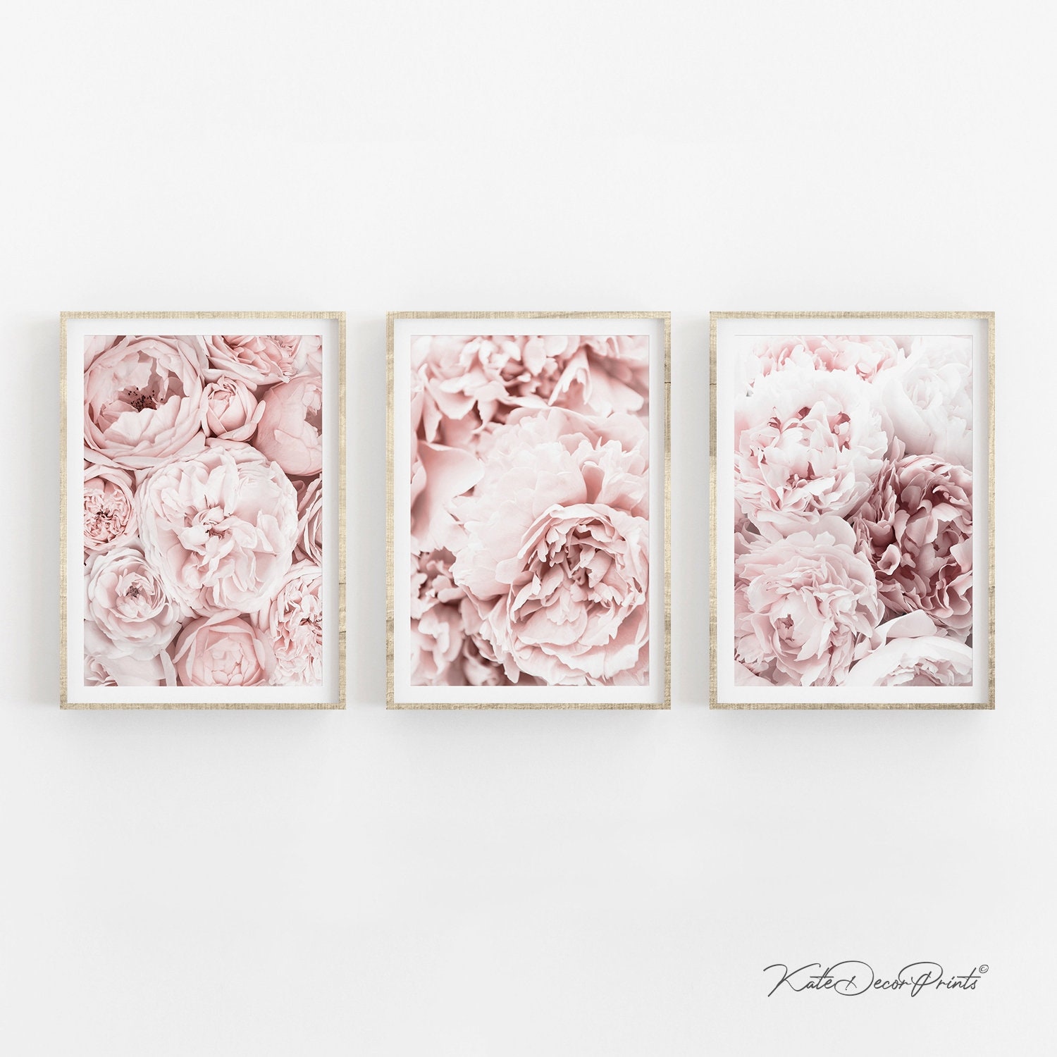 Peony Print Floral Wall Art Set Of 3 Prints Flower Prints Etsy