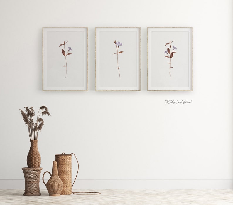 Floral Print Set Of 3 Wall Art Botanical Prints Flowers Etsy