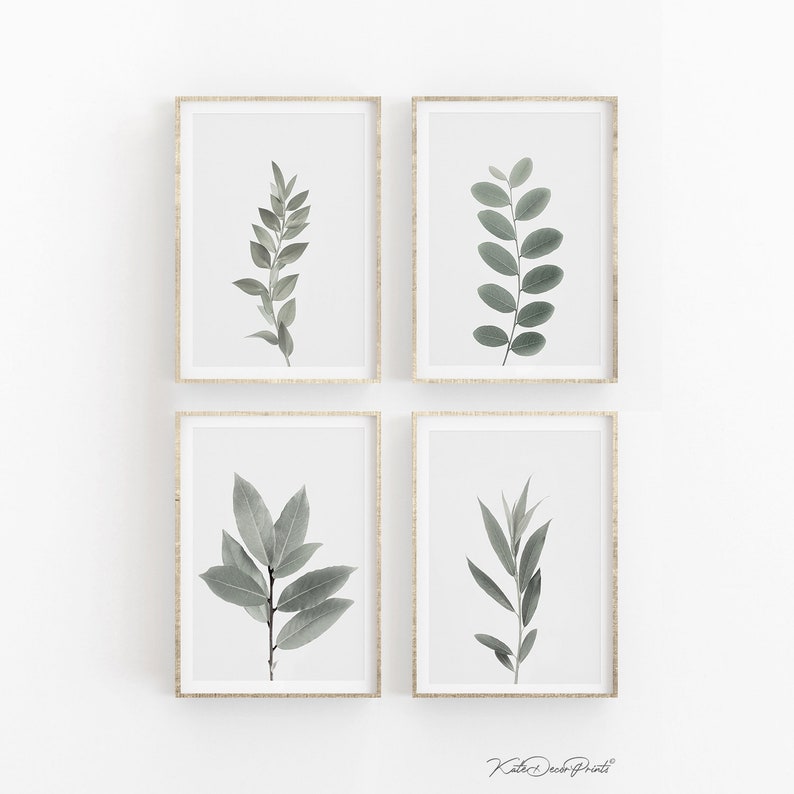 Botanical Wall Art Set Of 4 Prints Plant Prints Botanical Etsy