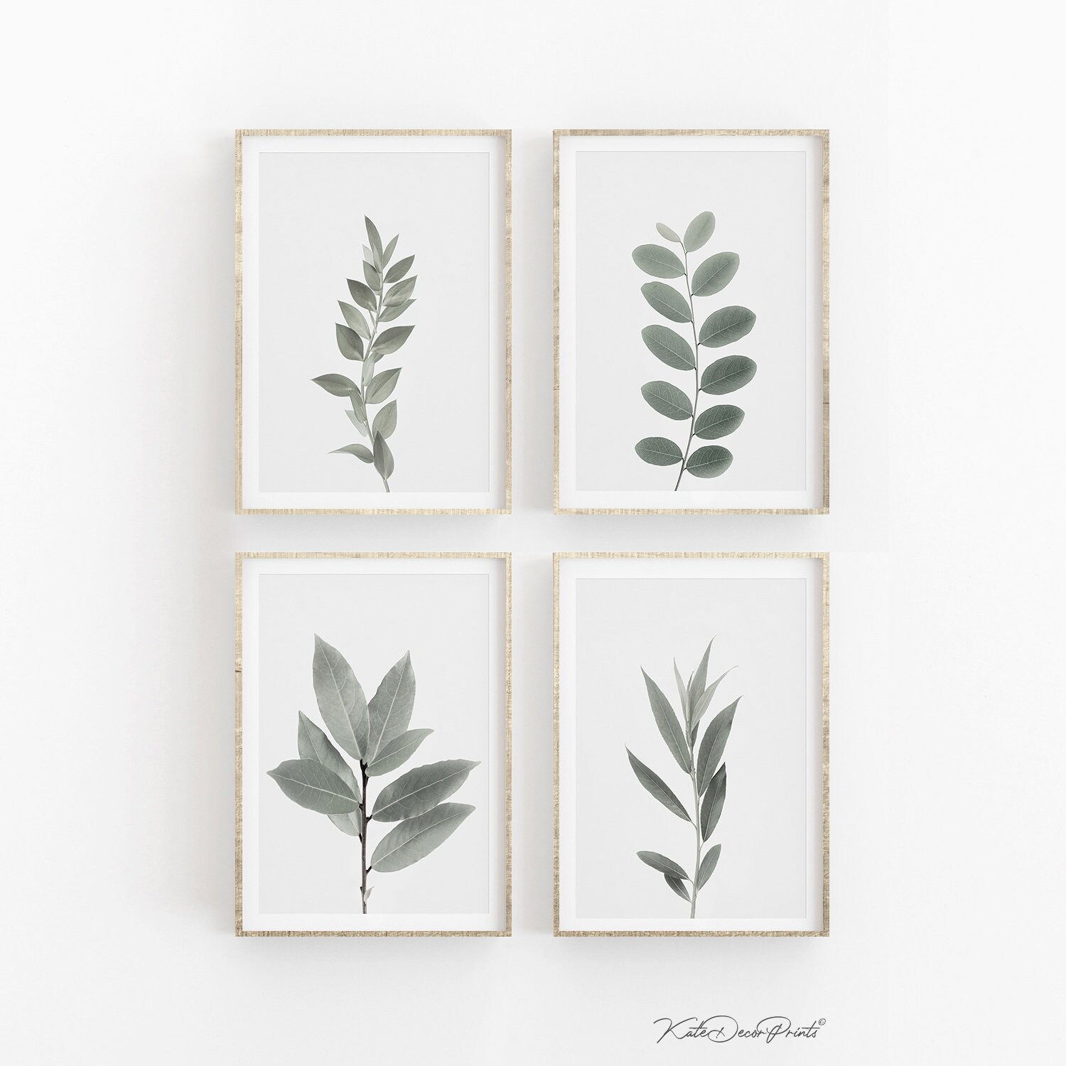Botanical Wall Art Set of 4 Prints Plant Prints Botanical Etsy Ireland