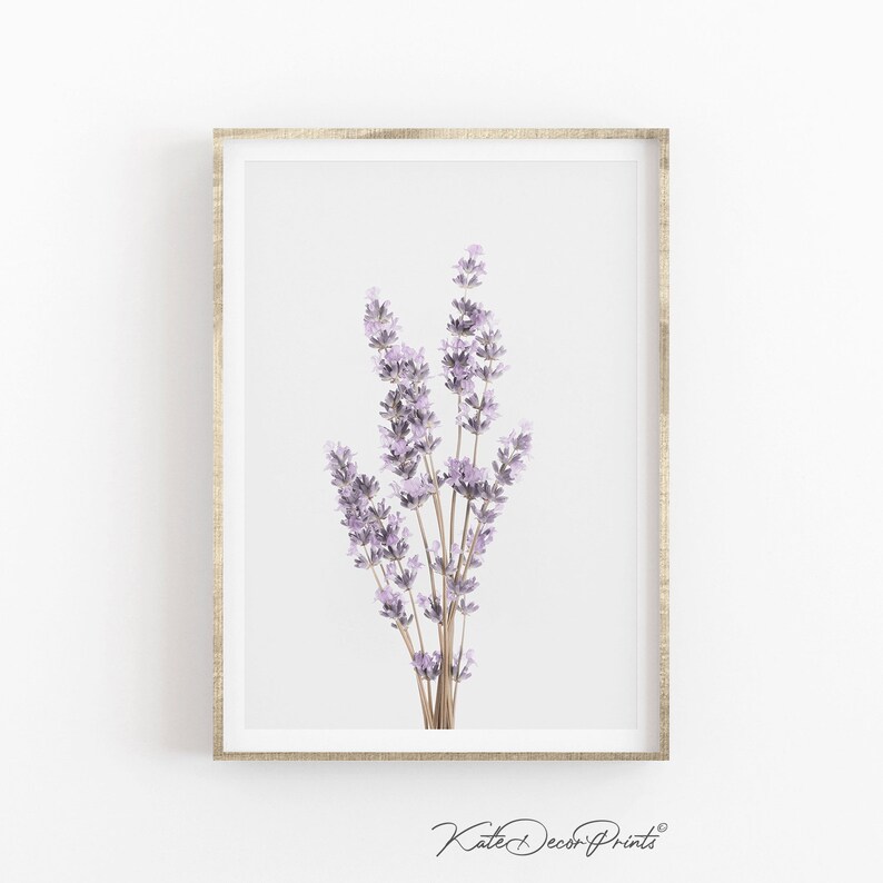 Floral Art Print Lavender Wall Art Flower Photography Etsy