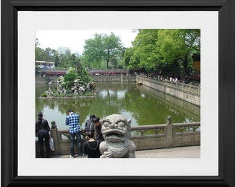 Turtle Pond Framed Prints