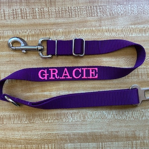 Personalized adjustable seatbelt leash,