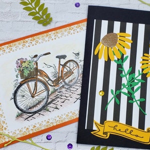 Card Bundle, Card Set, Unique Cards, Special Occasion Cards, Blank Card Set, Variety Card Set