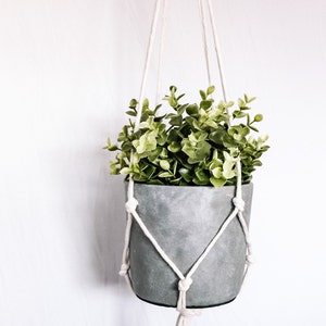 Puede incluir: Un macetero colgante gris con una cuerda de macramé blanca. El macetero está lleno de una planta verde de hojas.