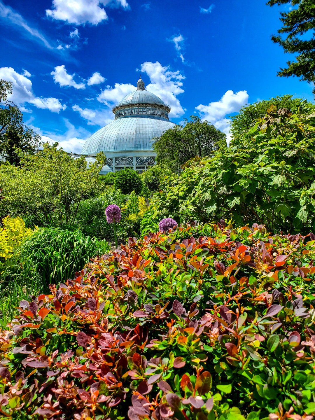 new-york-botanical-garden-etsy